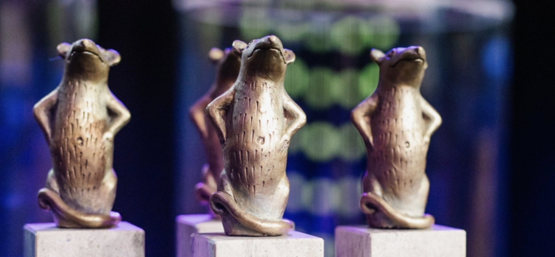 Eesti muuseumide aastaauhindade komisjonid valisid välja tänavused Muuseumiroti auhindade nominendid. Tartu linnamuuseum on tänavu nomineeritud aasta muuseumiko